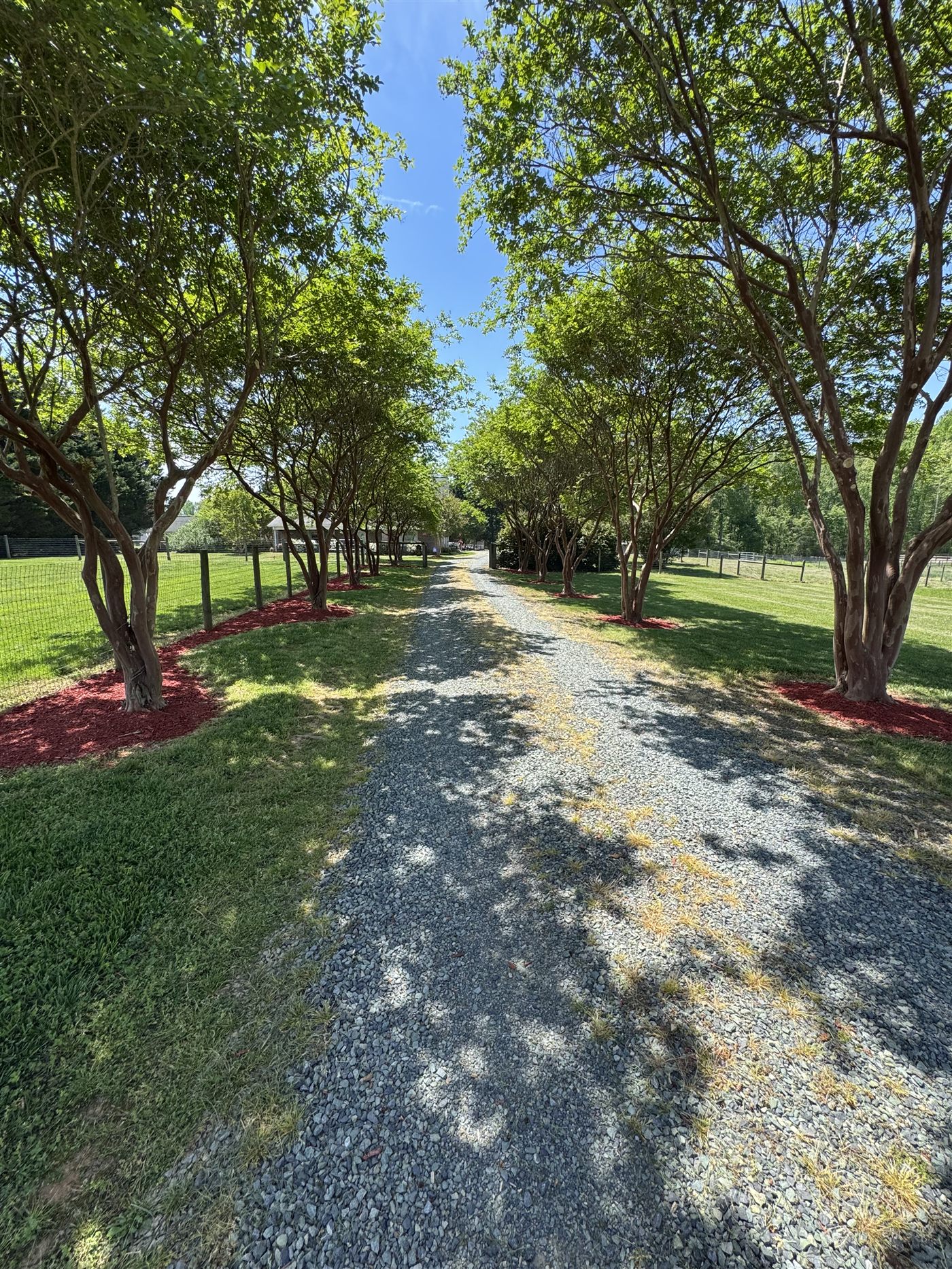 Landscaping results by Alligator Landscape in Siler City, NC